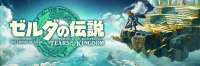 ゼルダの伝説 ティアーズ オブ キングダム